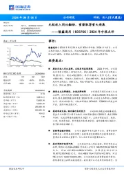 2024年中报点评:无极收入同比翻倍,重整取得重大进展