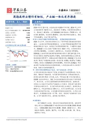 周期底部业绩仍有韧性,产业链一体化有序推进