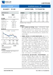 业绩低于预期，下半年改善可期