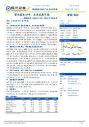 2024年中报点评:营收基本持平,未来发展可期