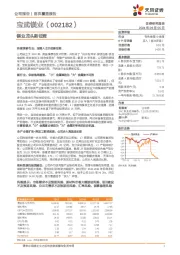 镁业龙头新征程