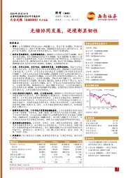光储协同发展,逆境彰显韧性