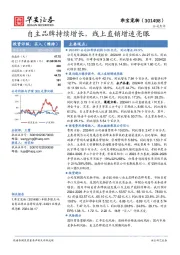 自主品牌持续增长，线上直销增速亮眼