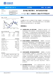 2024年半年报点评:盈利能力稳步提升,海外拓展成果显著