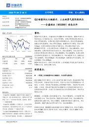 动态点评:Q2销量环比大幅提升,工业硅景气度阶段承压