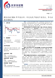 横店东磁2024年中报点评：印尼光伏产能投产是亮点，多元业务行稳致远