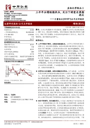 公司点评报告:上半年业绩短期承压,关注下游需求周期拐点