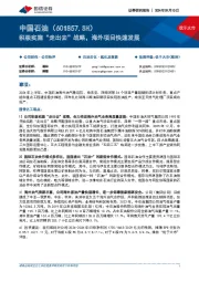 积极实施“走出去”战略，海外项目快速发展