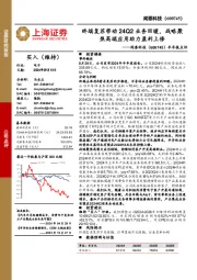 半年报点评:终端复苏带动24Q2业务回暖,战略聚焦高端应用助力盈利上修