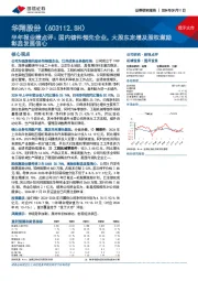 半年报业绩点评：国内铸件领先企业，大股东定增及股权激励彰显发展信心