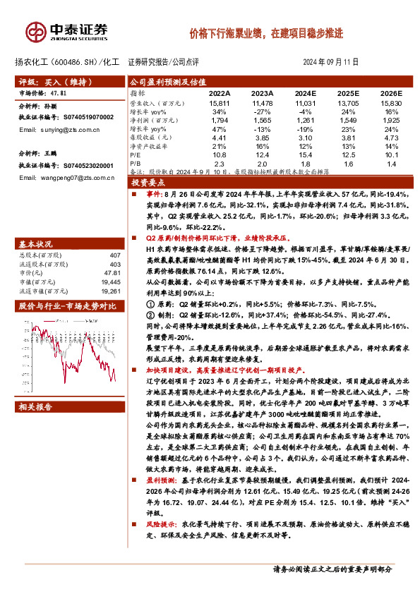价格下行拖累业绩，在建项目稳步推进