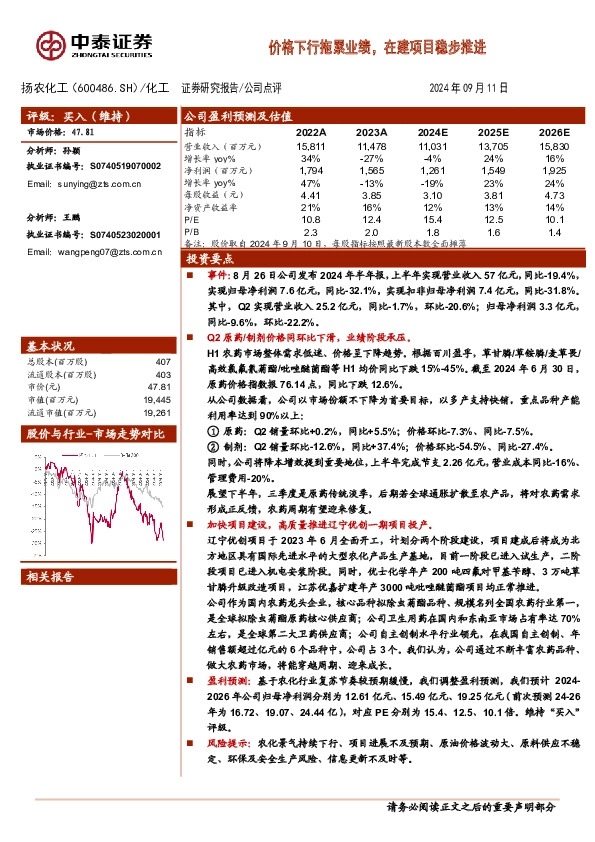 价格下行拖累业绩，在建项目稳步推进