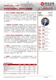 导电剂龙头持续迭代,积极推进一体化布局