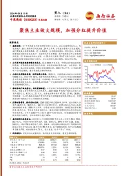 聚焦主业做大规模，加强分红提升价值