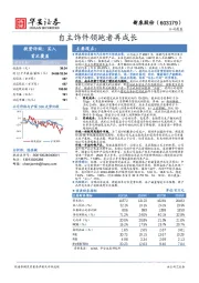 自主饰件领跑者再成长