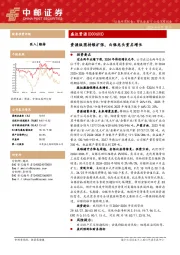 资源版图持续扩张，白银龙头重启增长
