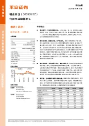 打造全球精锡龙头
