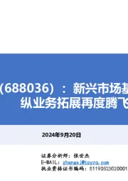 新兴市场基本盘稳固，横纵业务拓展再度腾飞