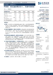 阿特斯:股权激励彰显信心,光储双轮驱动