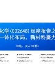 深度报告之三:完善轻烃一体化布局,新材料蓄力公司成长