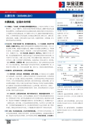 东鹏展翅，征程未有穷期
