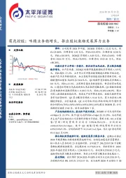 莲花控股：味精业务稳增长，推出股权激励发展算力业务