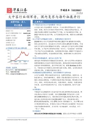 大中客行业领军者，国内复苏与海外拓展并行