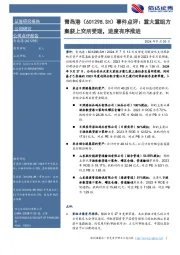 事件点评：重大重组方案获上交所受理，进度有序推进