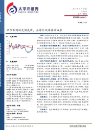 卓尔不同的光储先锋，全球化战略推动成长