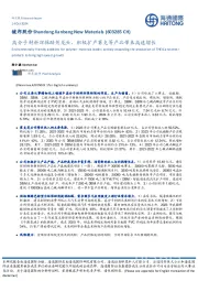高分子材料环保助剂龙头，积极扩产赛克等产品带来高速增长