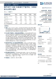 境外发行GDR加速海外产能布局，加强全球化品牌力建设