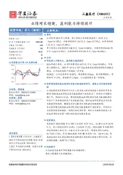 业绩增长稳健，盈利能力持续提升