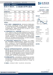 医保IT国家队，公共数据运营率先落地