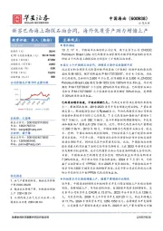 新签巴西海上勘探石油合同，海外优质资产助力增储上产