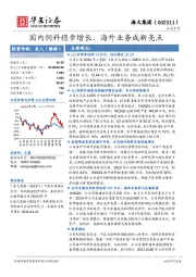 国内饲料稳步增长，海外业务成新亮点