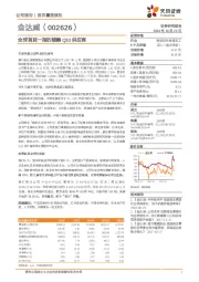 全球首屈一指的辅酶Q10供应商