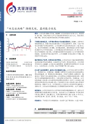 “双支柱战略”持续兑现,盈利能力优化