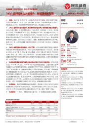 2024年三季报点评:24Q3盈利同环比大幅提升,新能源成长可期