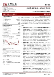 季报点评:毛利率显著提高,AWG订单充足
