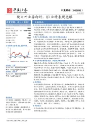 境内外业务向好,Q3业绩表现亮眼