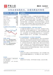负极业务短期承压,涂覆隔膜盈利维稳