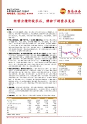 经营业绩阶段承压，静待下游需求复苏