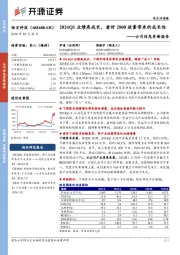 公司信息更新报告:2024Q3业绩高成长,看好2800放量带来的成长性