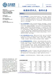 公司半年报点评:短期经营承压,期待改善
