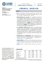公司半年报点评:业绩持续承压,期待需求改善
