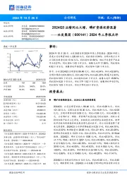 2024年三季报点评:2024Q3业绩同比大增,磷矿资源优势显著