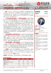 2024年三季报点评：水电发电量下滑，业绩有所波动