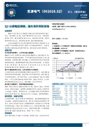 Q3业绩略超预期,国内海外双轮驱动
