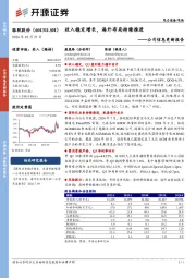 公司信息更新报告:收入稳定增长,海外布局持续推进