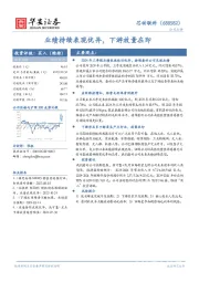 业绩持续表现优异,下游放量在即